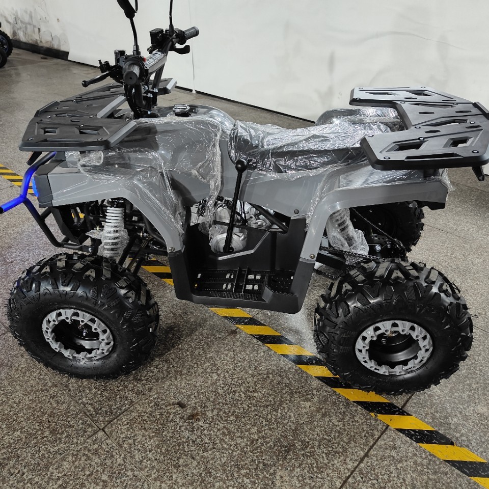 Quadriciclo ATV 125cc, Buggy d - Outdoor Adventure Quad Biking avaliação e preço