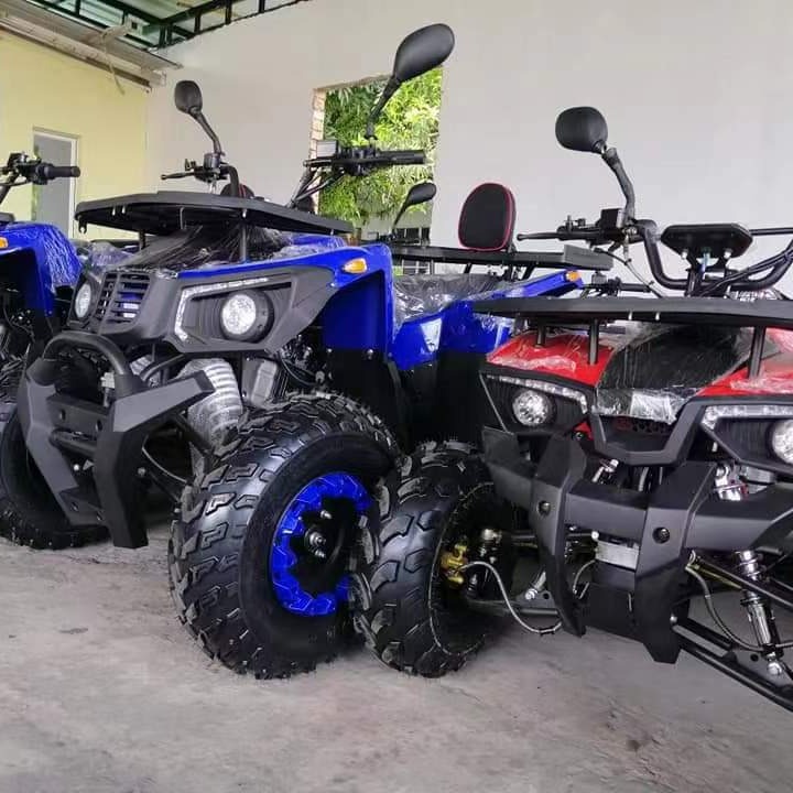 Buggy de Areia para Todos os T - Outdoor Adventure Quad Biking avaliação e preço
